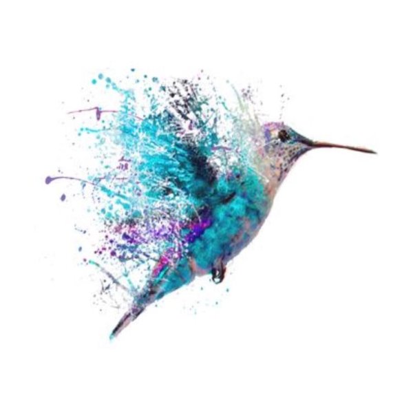 Яркие птицы