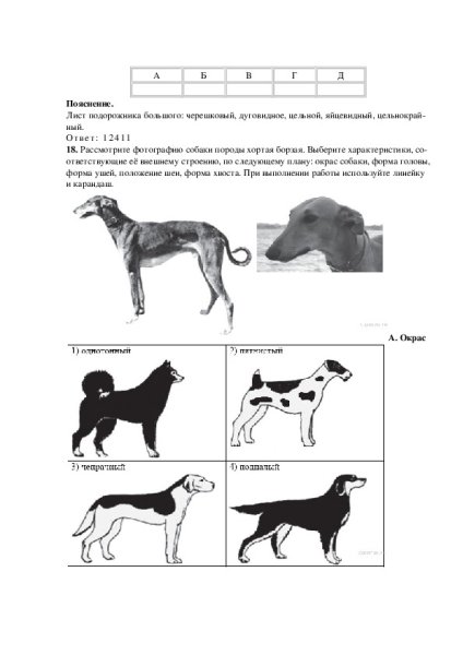 ОГЭ биология первое задание рост