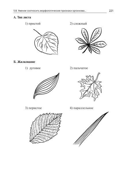 ОГЭ по биологии листья