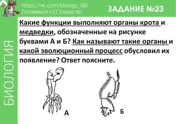 Биология задания