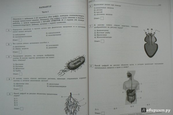 ОГЭ по биологии 9 Рохлов вариант 2