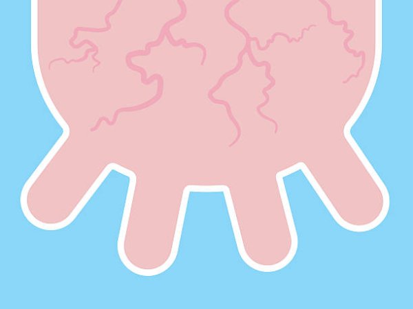 Коровье вымя иконка