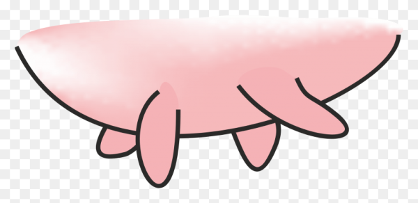 Иллюстрация коровье вымя