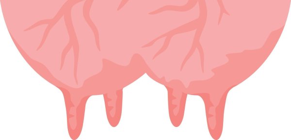 Коровье вымя мультяшное