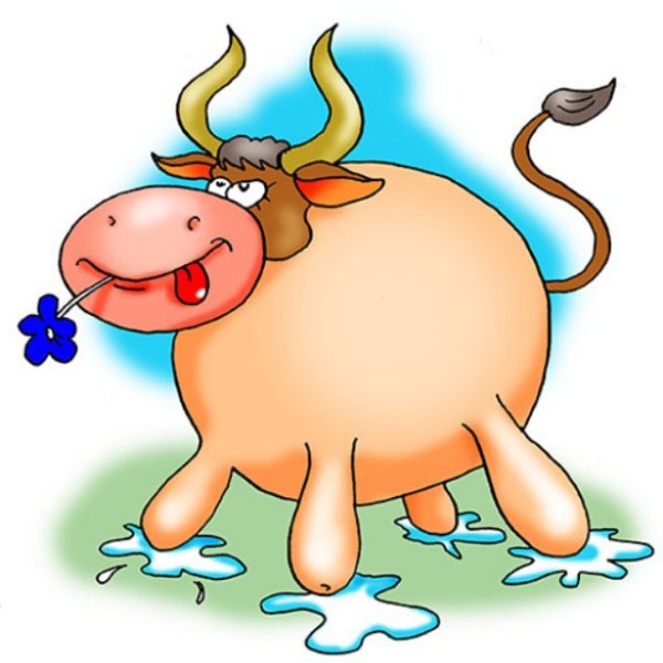 Прямые скакательные суставы у лошади