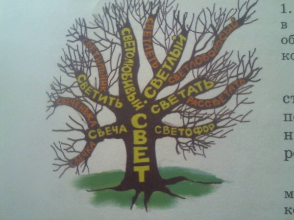 Дере однокореныых слов