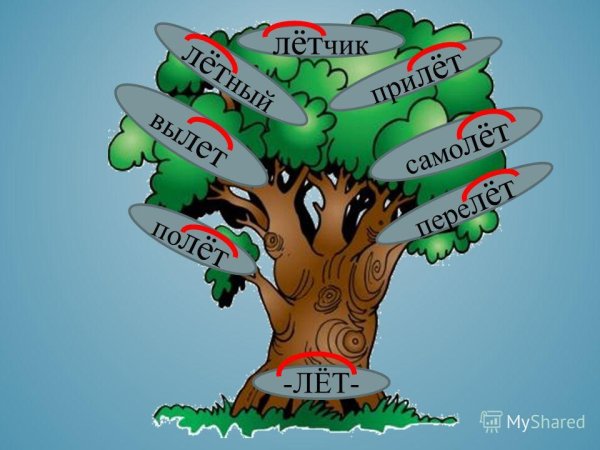 Дерево родственных слов