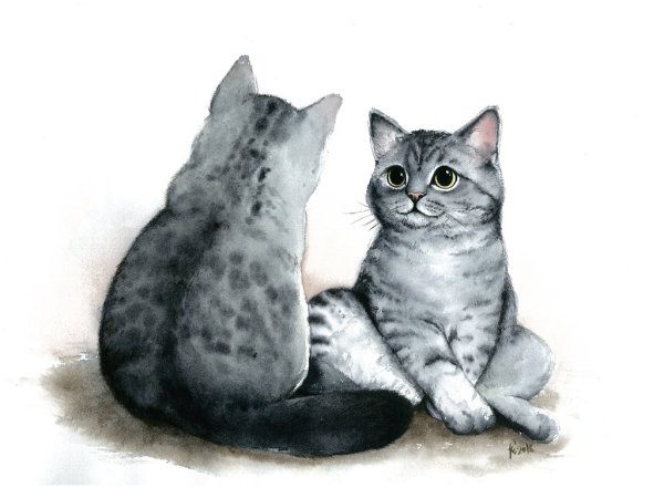 Серый кот рисунок