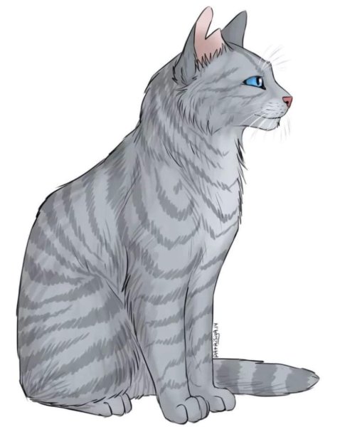 Безух коты Воители