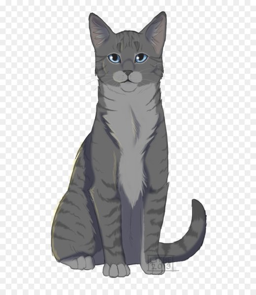 Коты Воители серо-черный кот