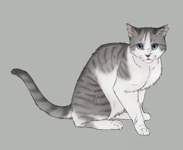 Коты Воители Птицехвост