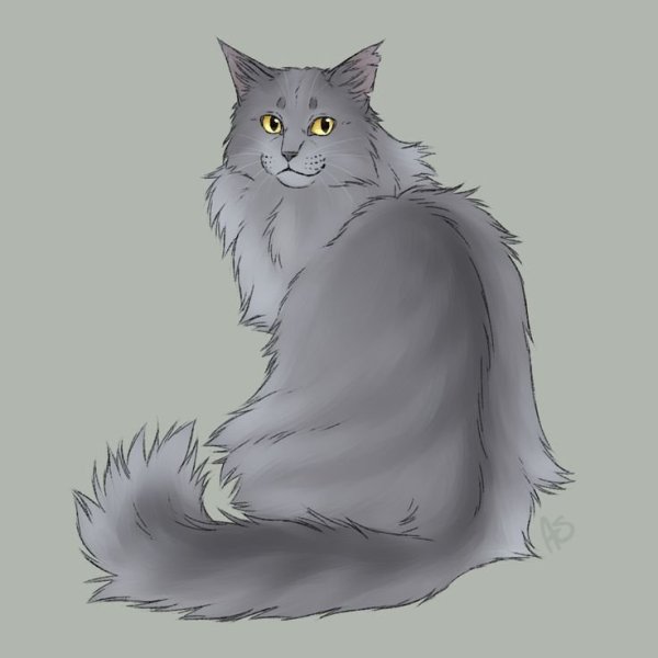 Коты Воители арт Крутобок