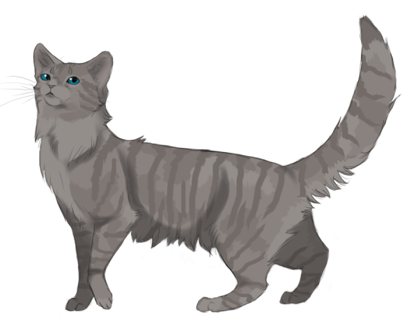 Коты Воители Пепелинка