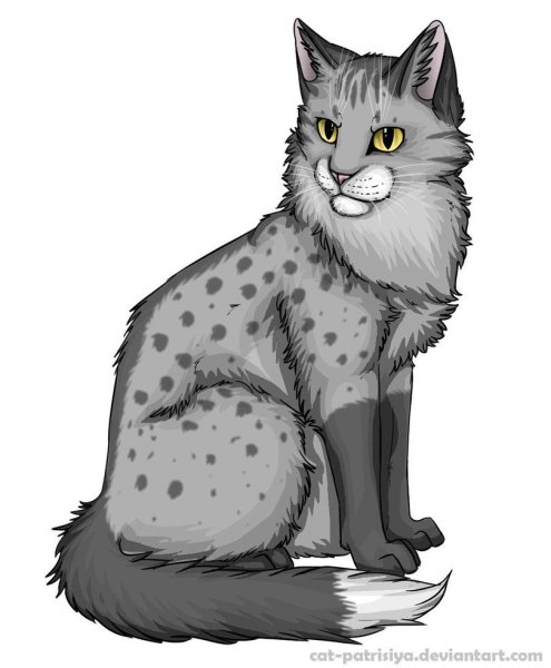 Warrior Cats Thistleclaw