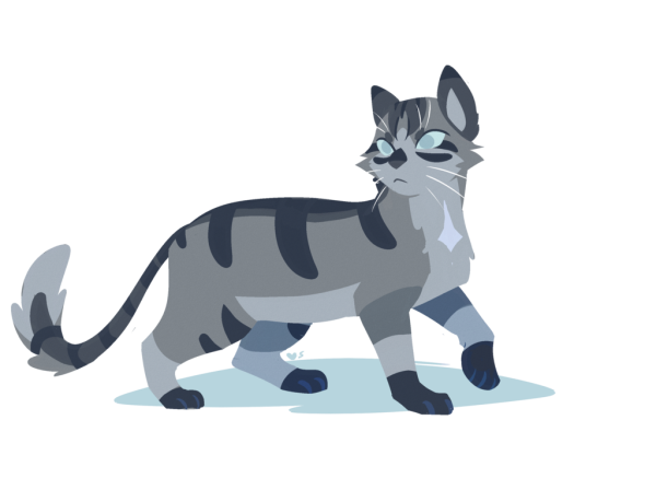 Коты Воители серая кошка