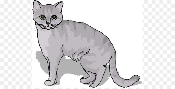 Кошки Мэнкс серого цвета