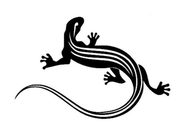 Ящерица символ Урала