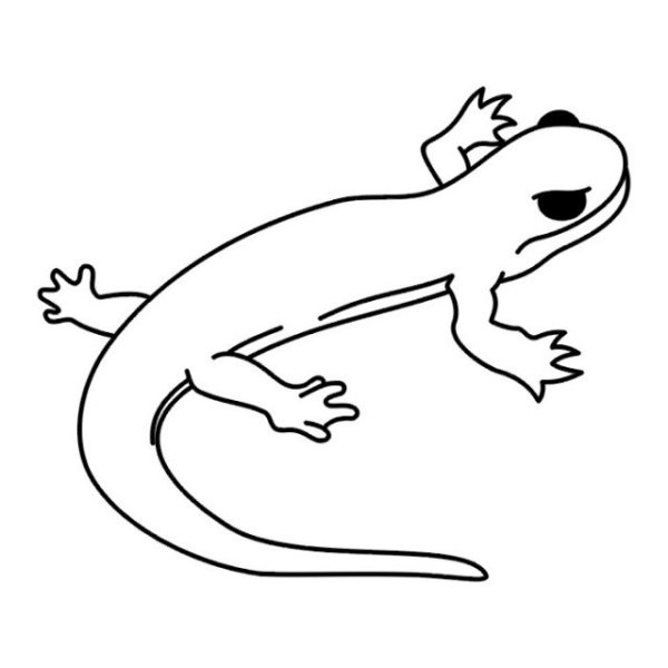 Ящерица контур