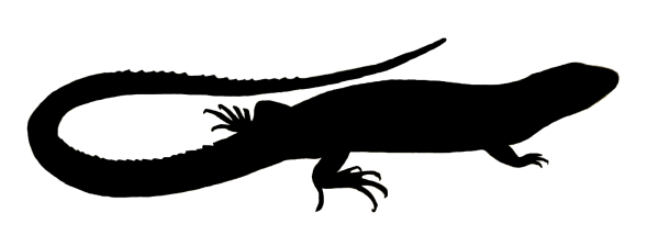 Ящерица силуэт