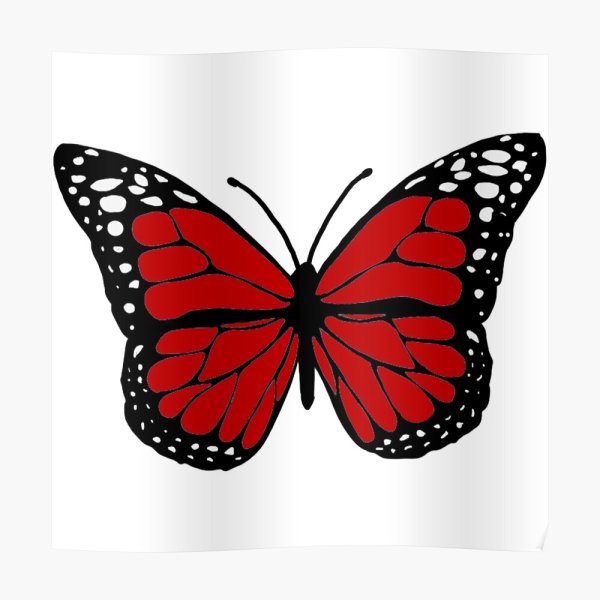 Бело красная бабочка