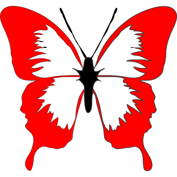 Бело красная бабочка