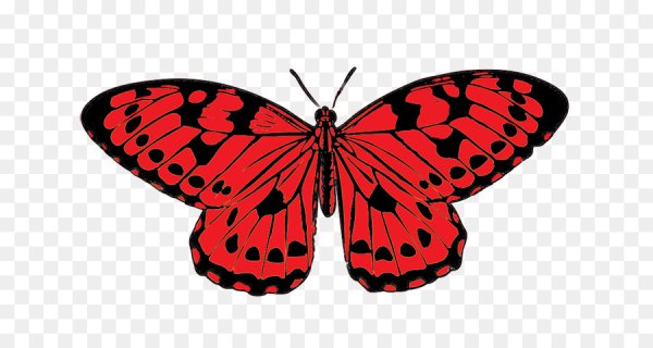 Красная бабочка