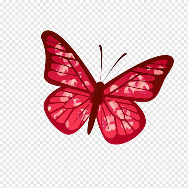 Красные бабочки на прозрачном фоне