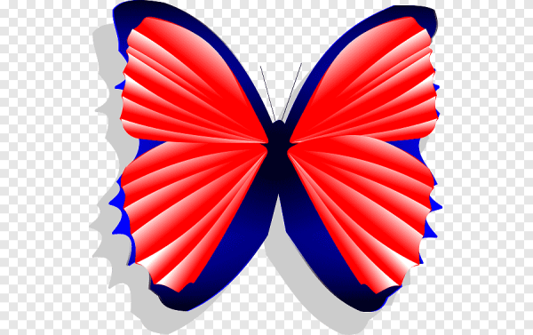 Бабочка синяя с красным