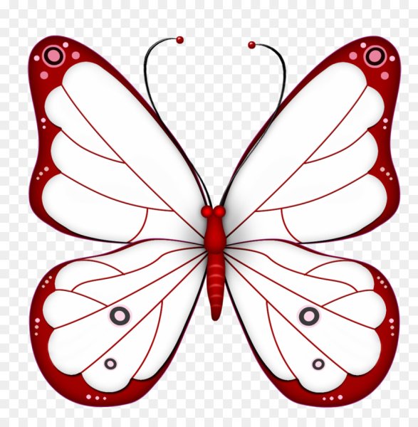 Бабочка рисунок