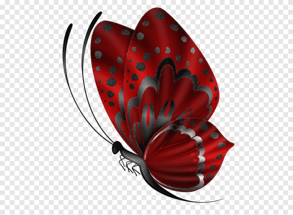 Нарисовать бабочку