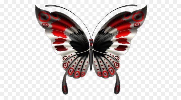 Красная бабочка