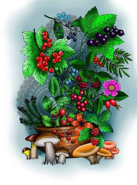 Грибы и ягоды композиция