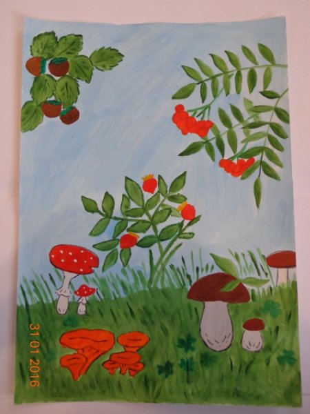 Рисование грибы ягоды