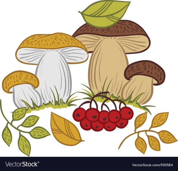 Рисование на тему дары осени