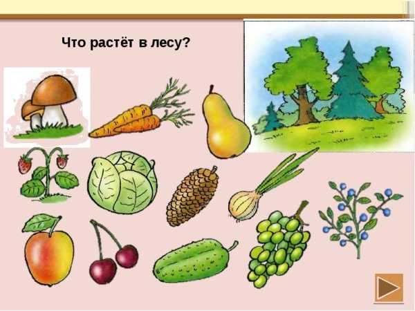 Еж в живописи