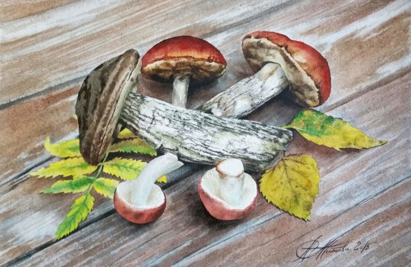 Рисование грибы в лесу