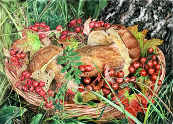 Рисунок на тему лес