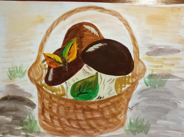 Грибы ягоды на прозрачном фоне