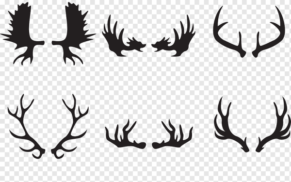 Рога оленя силуэт