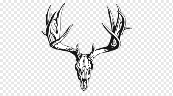 Череп оленя вектор
