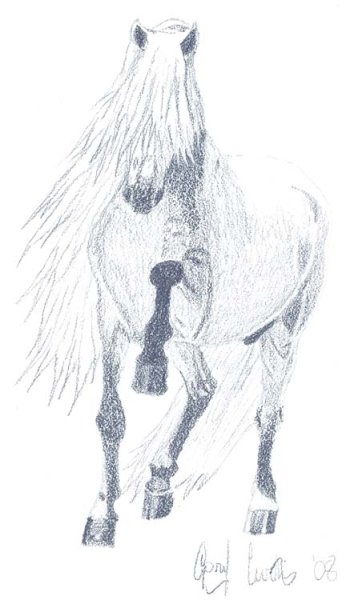 Константин Ушинский слепая лошадь