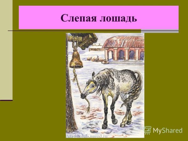 К Д Ушинский слепая лошадь