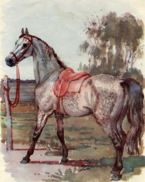 Книга детям Ушинский слепая лошадь