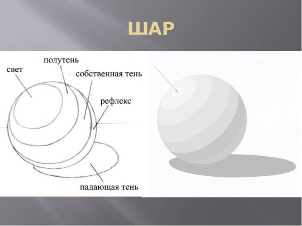 Тень полутень рефлекс