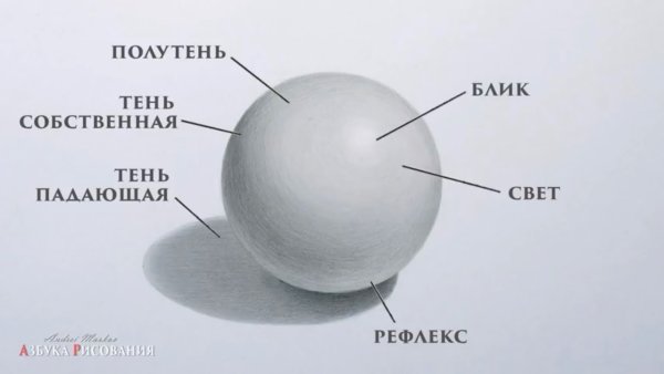 Светотень в рисунке