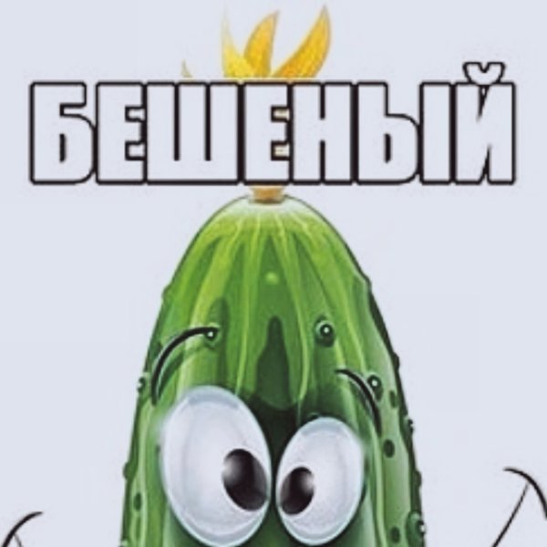 Бешеный огурец плоды рисунок