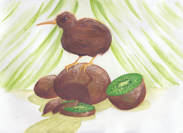 Птица киви мультяшная