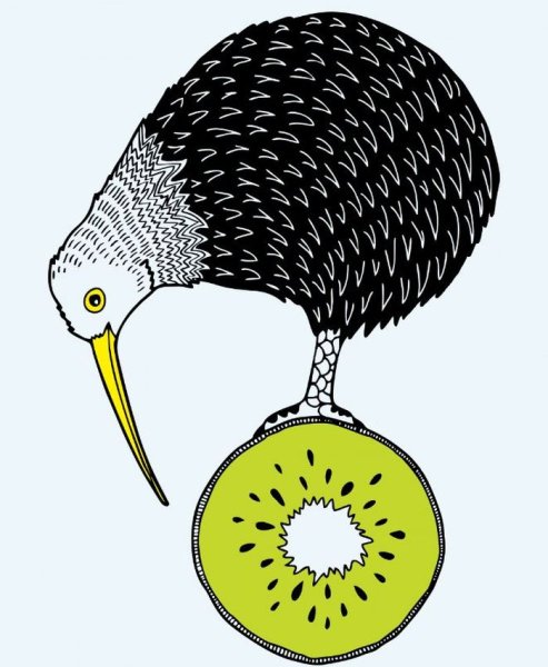 Киви-киви птица