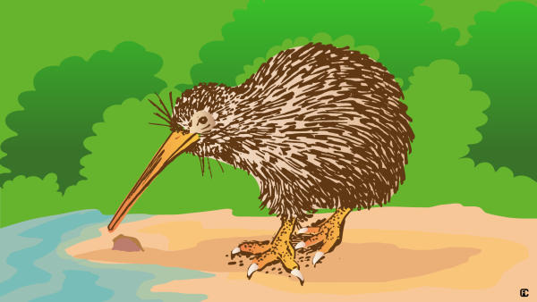 Птичка киви раскраска