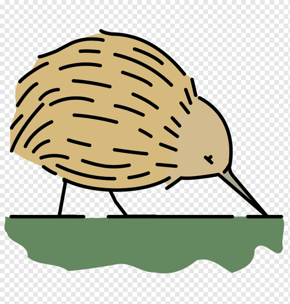 Киви птица раскраска для детей